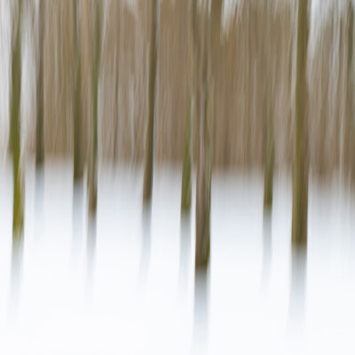 Image for choice number 3