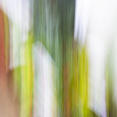 Image for choice number 4