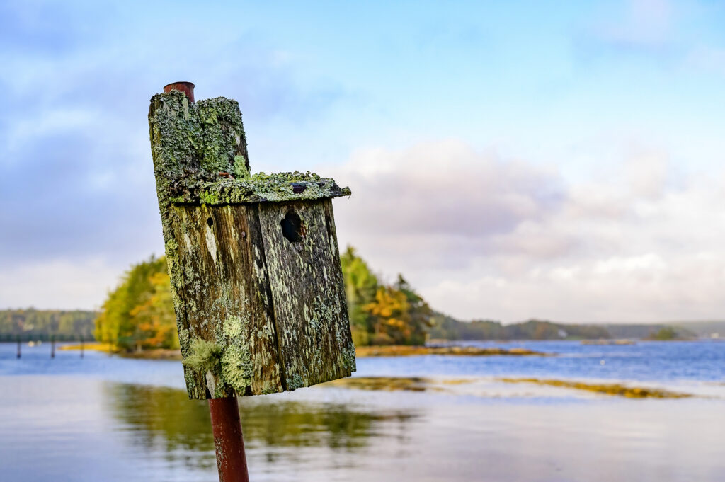 Weathered wooden birdhouse on a post in front of a lake with autumn-colored trees